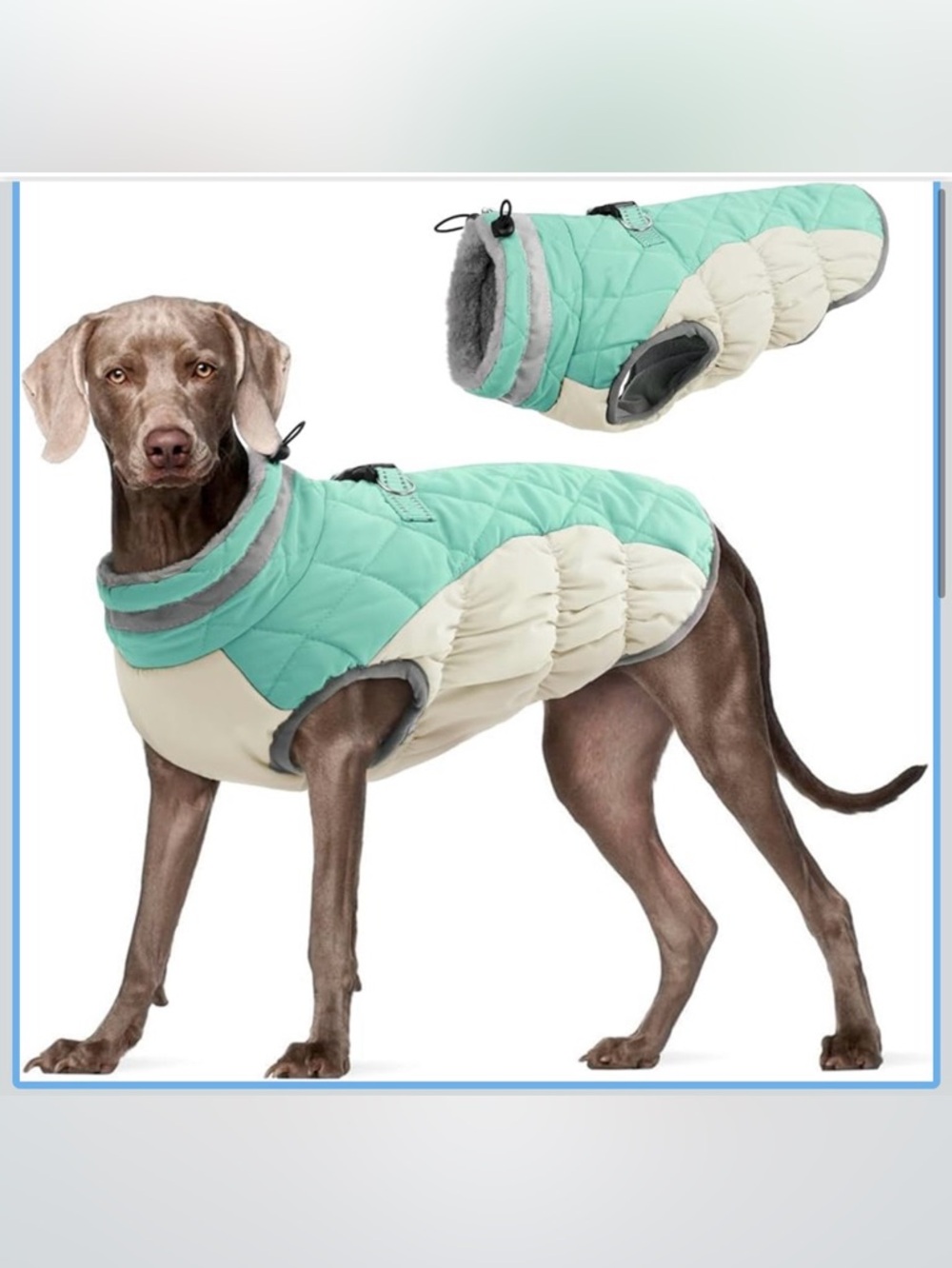 Waterproof XL Dog Winter Jacket With Harness Built In-Reflective 968-3